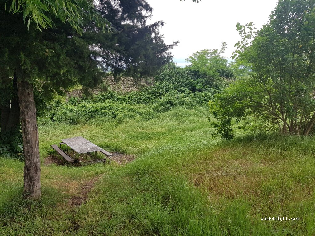 (2200) Telavi - შ42 — foto 2