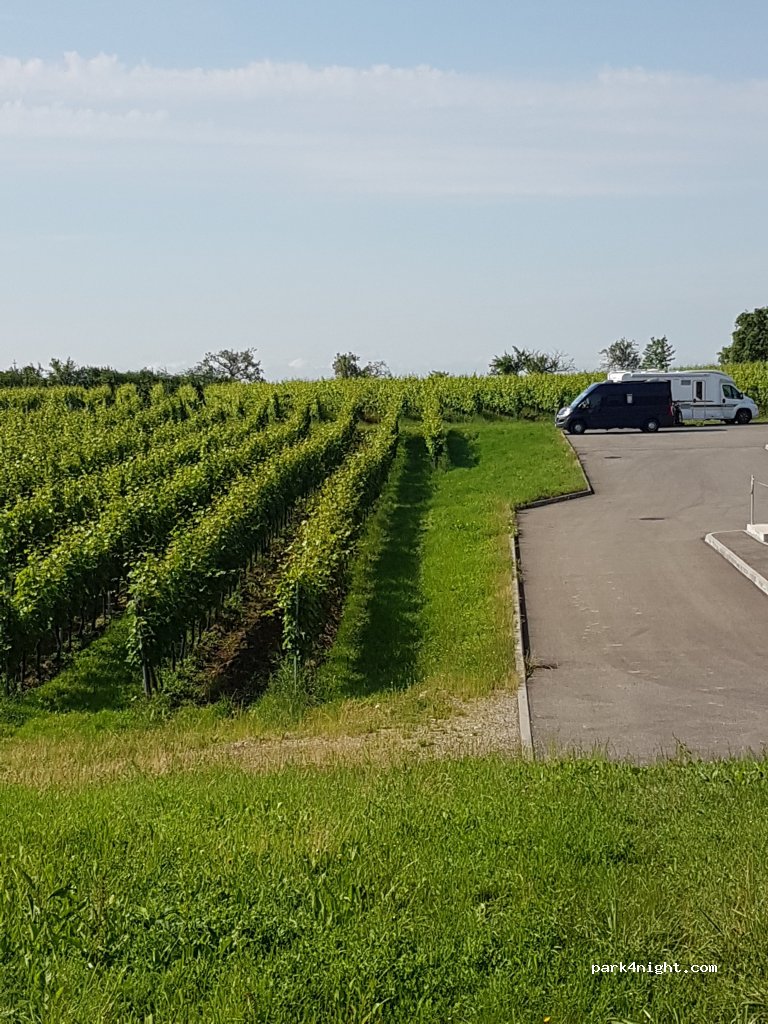 La Cave du Vieil Armand — foto