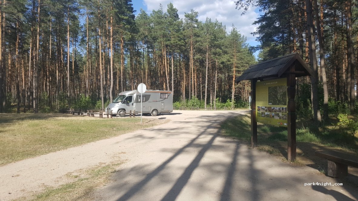 (65336) Merkinė - 19 5021 — foto