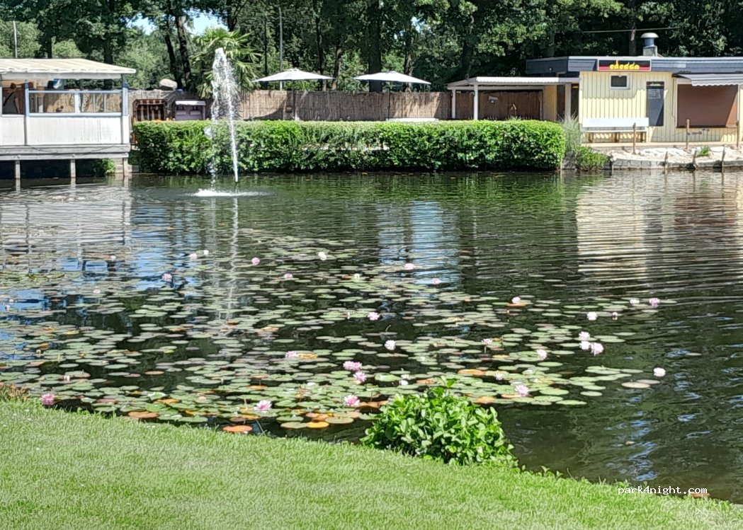 Camping & lake Natels-Heidesee — foto 4