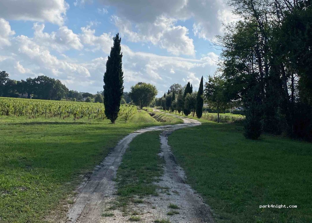 Château Saint Ahon — foto 3