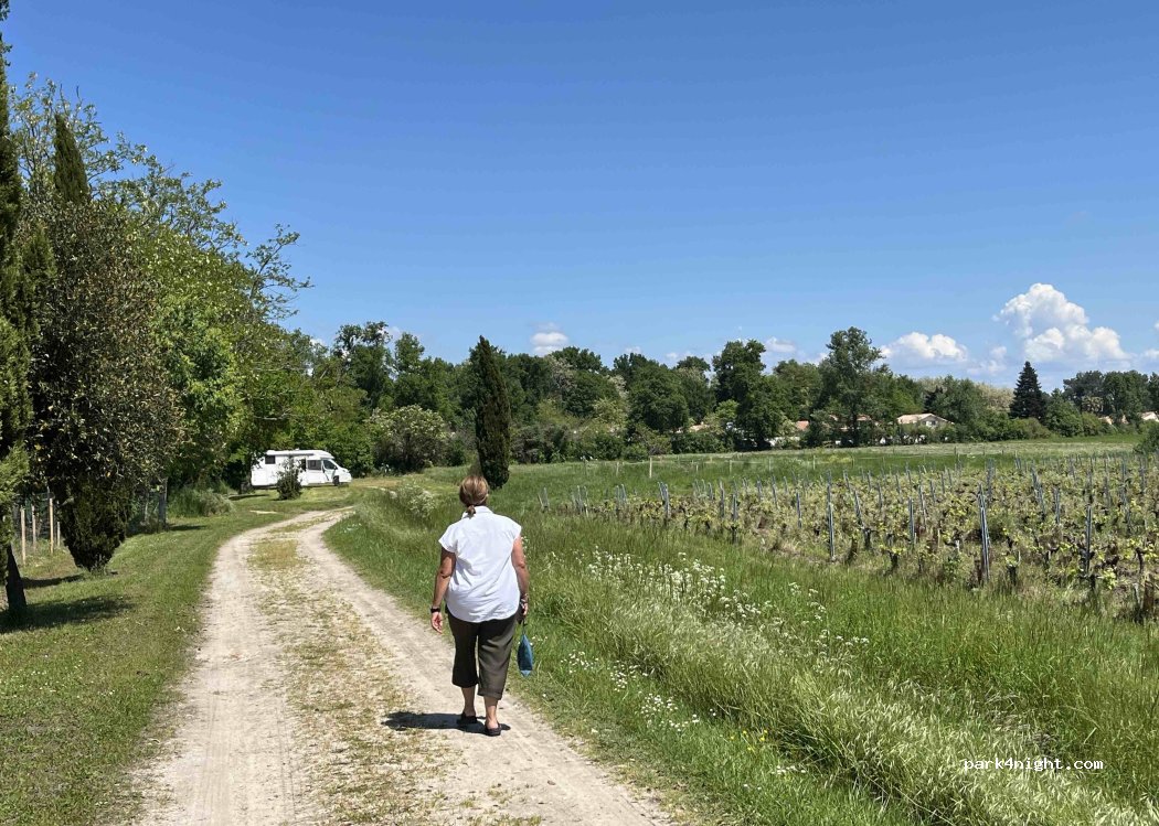 Château Saint Ahon — foto 4