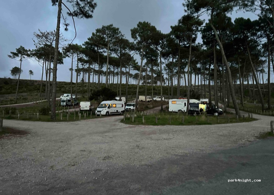 (33260) La Teste-de-Buch - Route d'Arcachon À Biscarrosse — foto 2