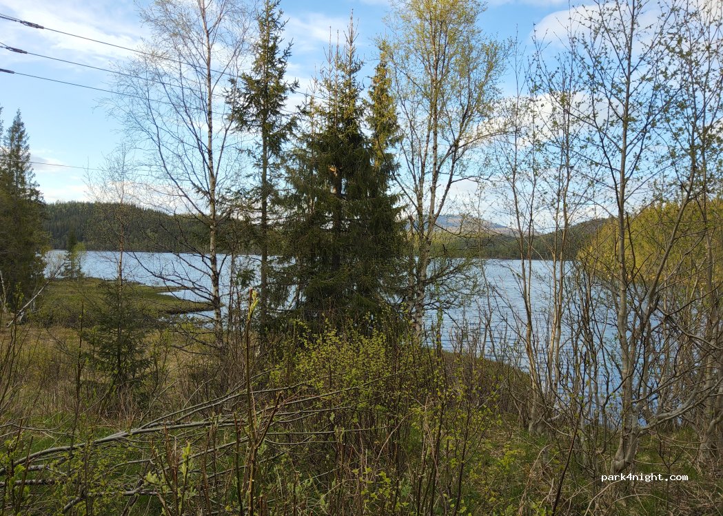 (7750) - 1 Primær Fylkesveg 715 — foto 2