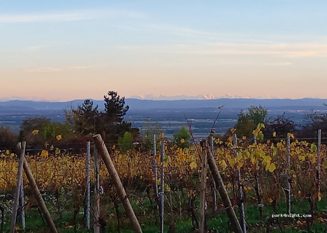 (68250) Westhalten - Unnamed Road — foto 4