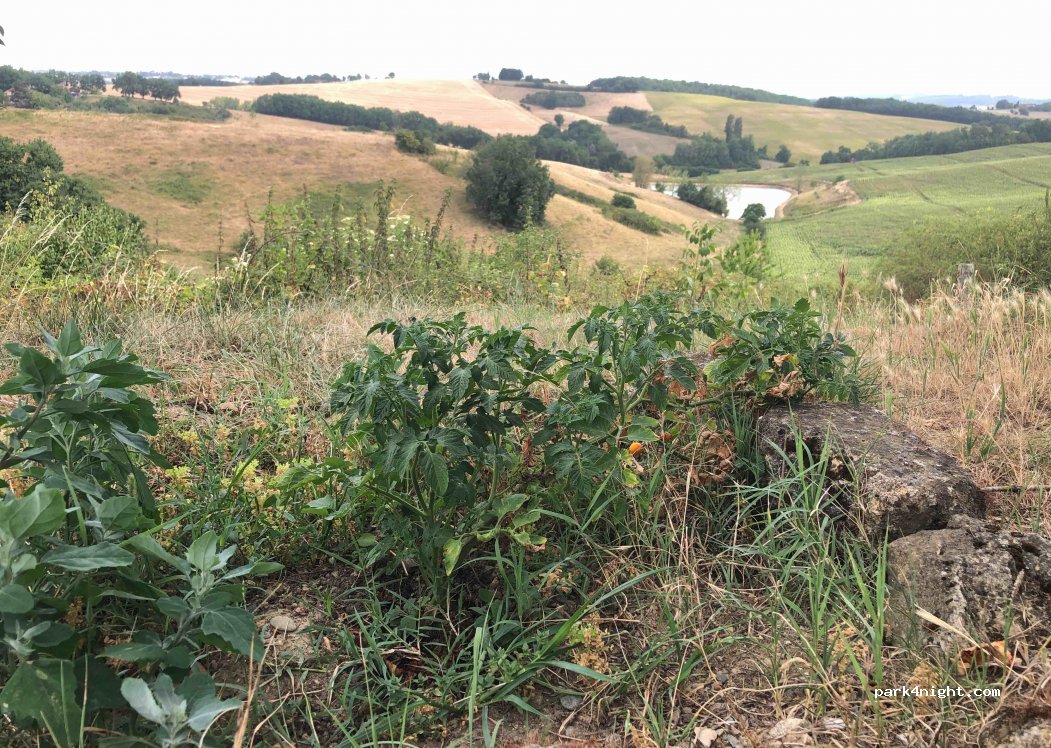 (32300) Labéjan - Unnamed Road — foto 2