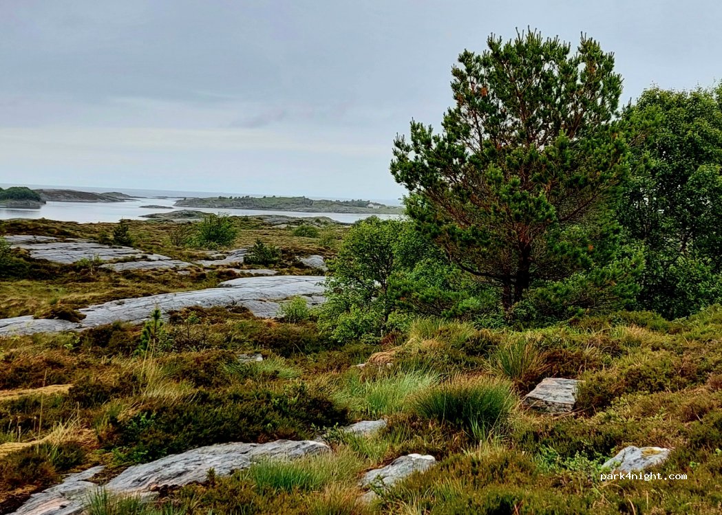 (6444) - 98 Sekundær Fylkesveg 242 — foto 4