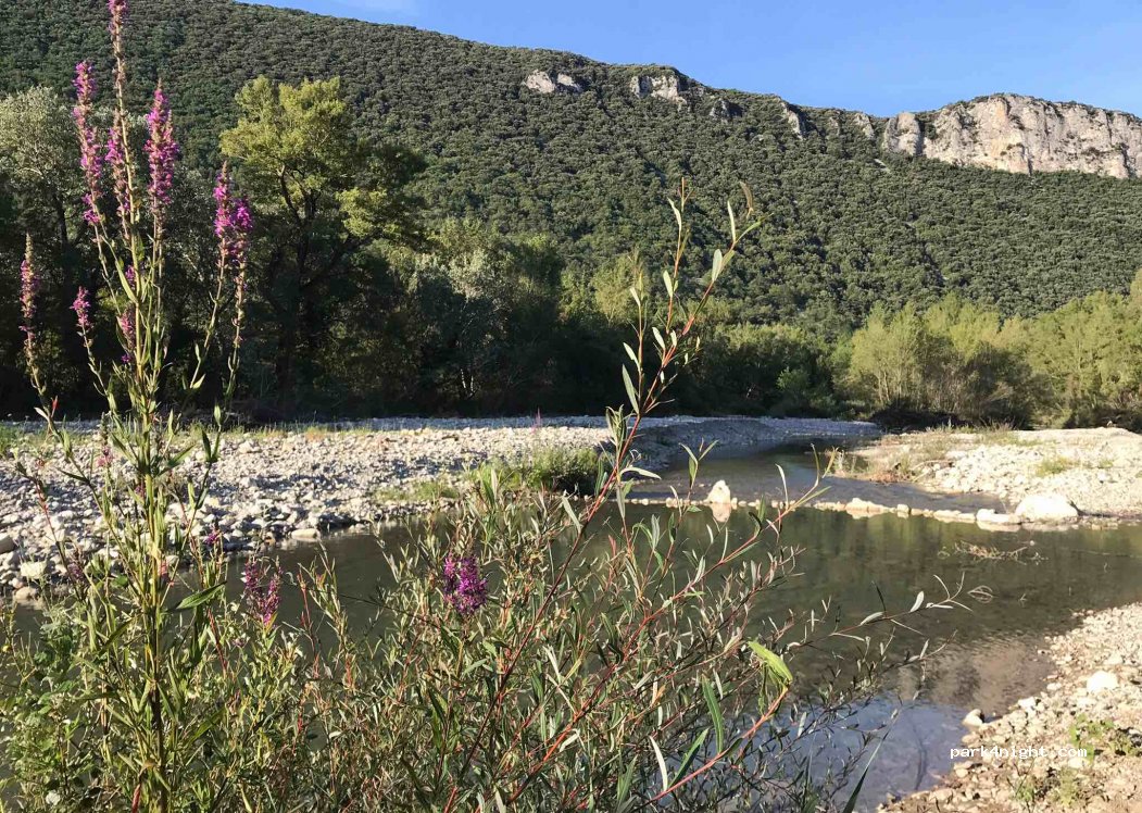 Camping les Castors — foto 2
