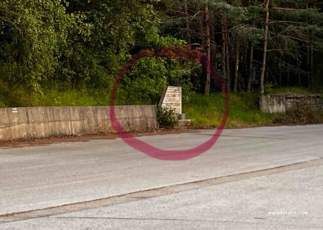 (4550) Peshtera - Unnamed Road — foto 3