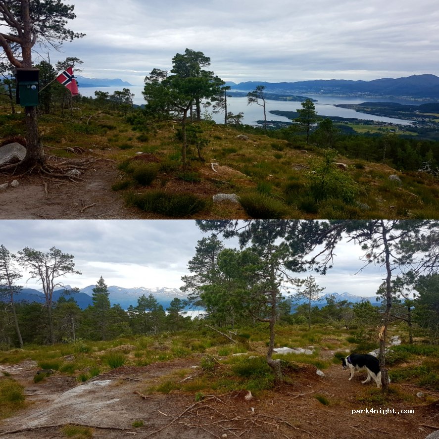 (6456) - 20 Primær Fylkesveg 64 — foto 2
