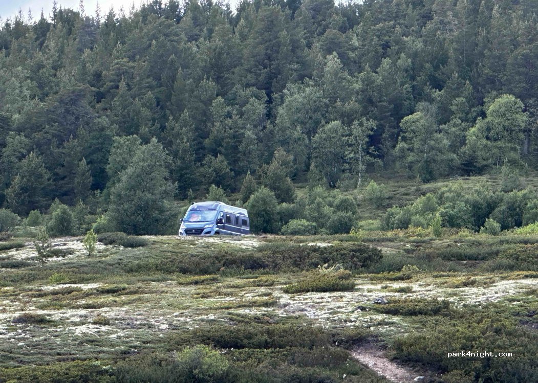(2660) - Primær Fylkesveg 29 — foto 4