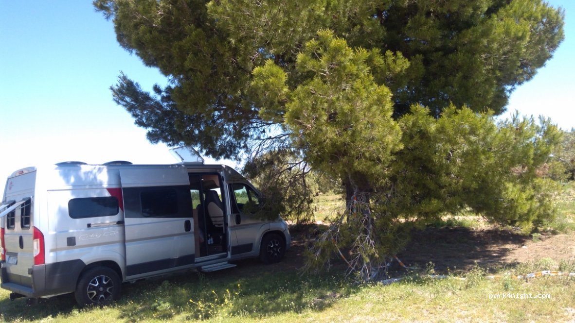 (50196) La Muela - 5 Camino Carbonera — foto