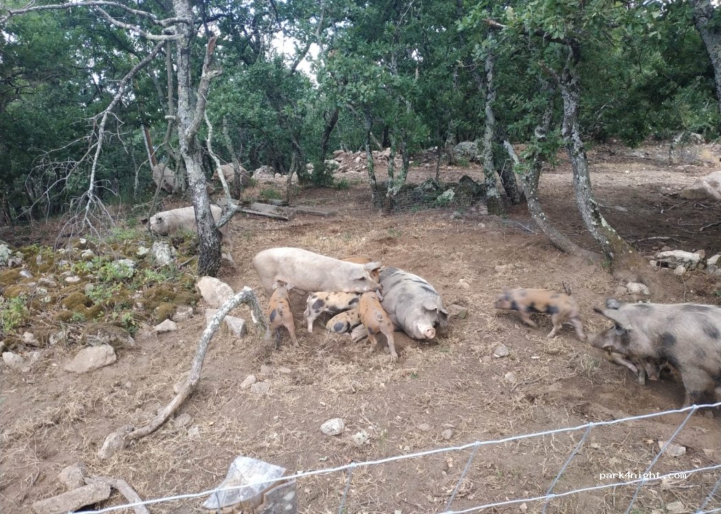 Ferme de Tallans — foto 3
