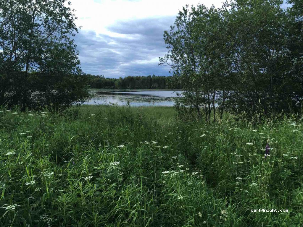 (2337) - 1 Sekundær Fylkesveg 224 — foto 2
