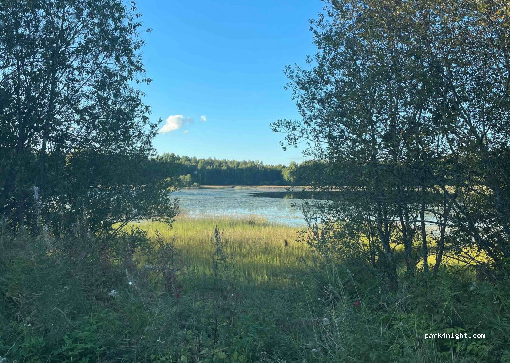 (2337) - 1 Sekundær Fylkesveg 224 — foto 3
