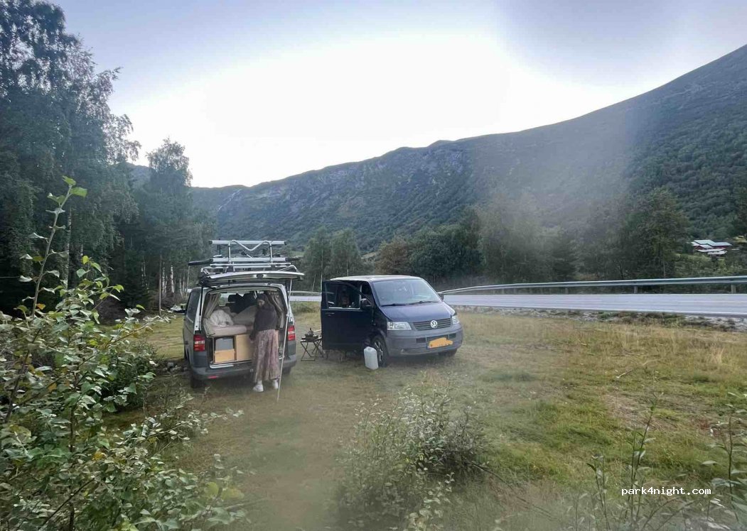 (2686) - 1 Primær Fylkesvei 55 — foto 3