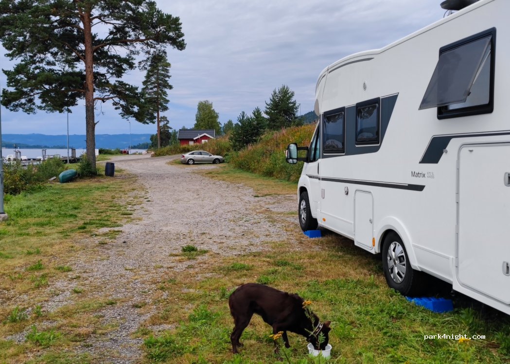 (2090) - Primær Fylkesveg 180 — foto 4