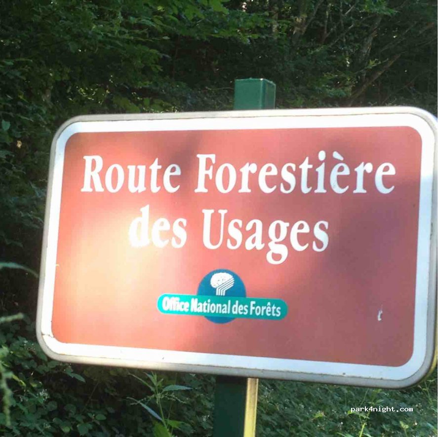 (45210) Griselles - Route des Usages — foto