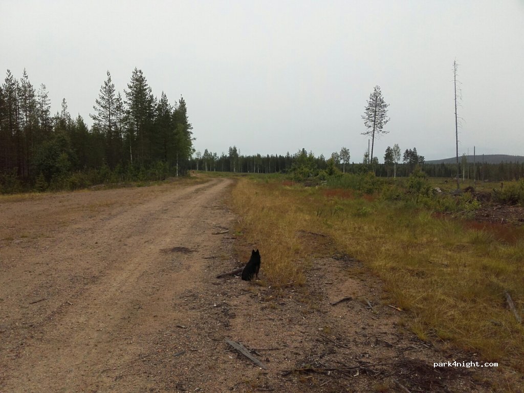 (980 60) Överkalix - 392 — foto 2