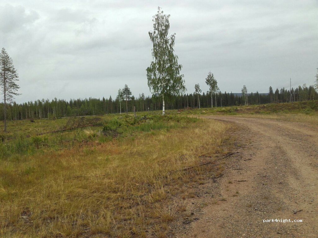 (980 60) Överkalix - 392 — foto 3