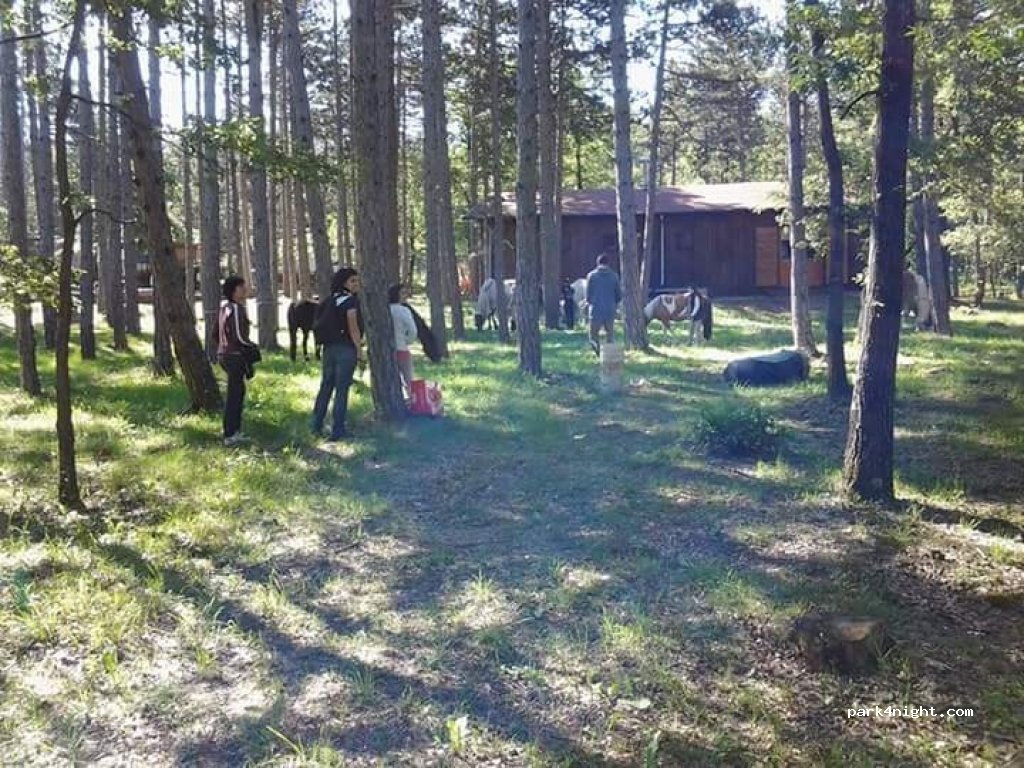 Camping La Martina — foto 4