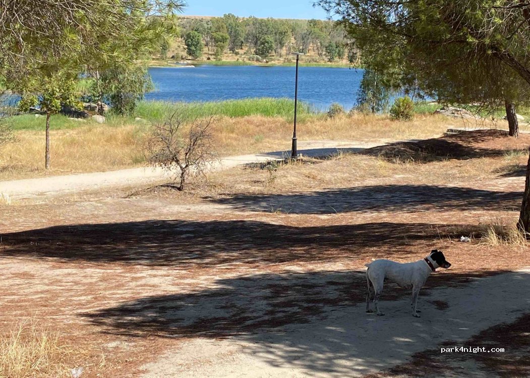 (06800) Mérida - 1 Avenida del Lago — foto 3