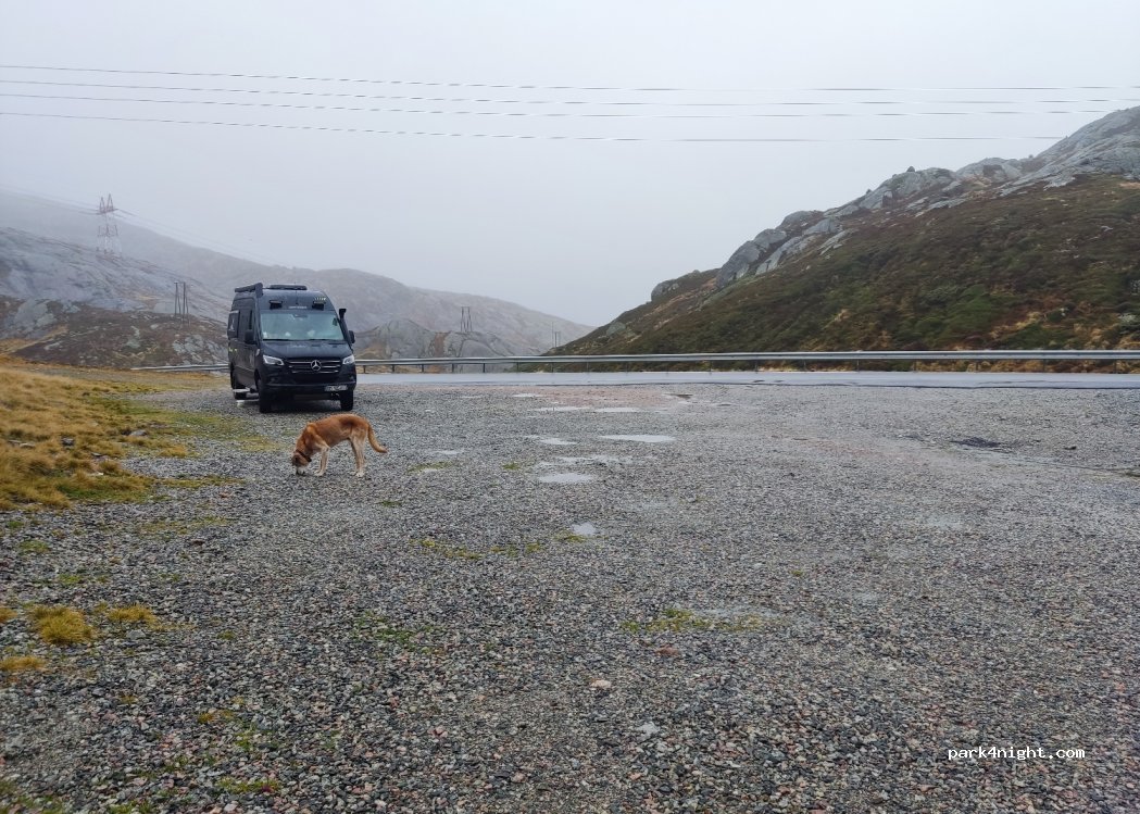 (4127) - 1 Sekundær Fylkesveg 500 — foto 2