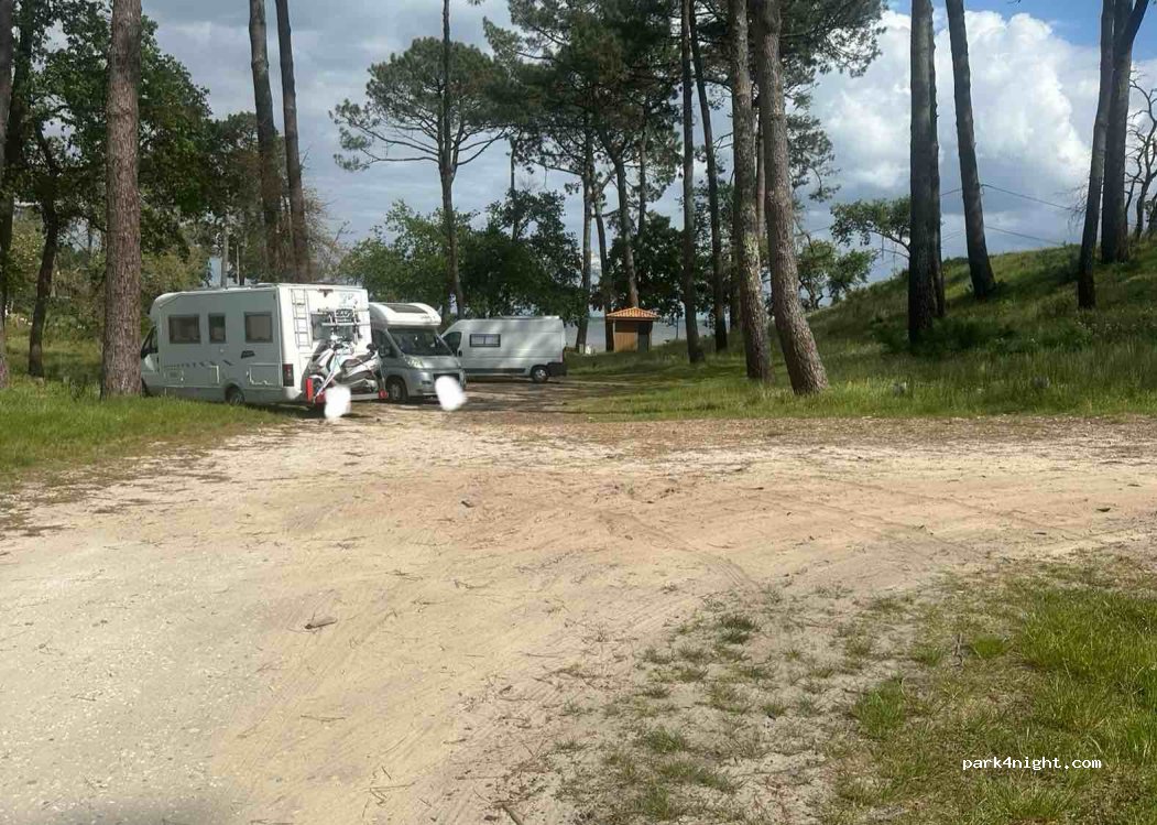 (33260) La Teste-de-Buch - 31 Route du Lac — foto 4
