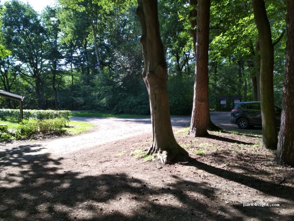 (32-014) Dąbrowa - Droga Krajowa 75 — foto