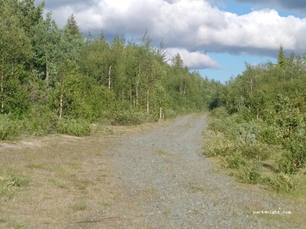 (923 97) Forsmark - — foto