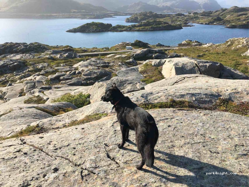 (8384)  - 42 Sekundær Fylkesveg 810 — foto 2