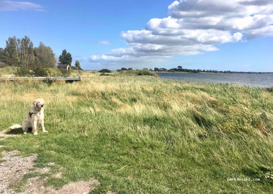 (5960) Marstal - 30 Vesterskovsvej — foto 2