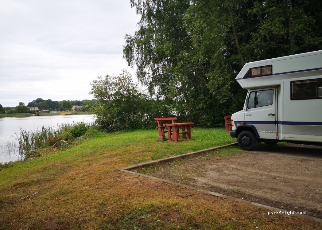 (81209) Pakumulšiai - E272 — foto 3
