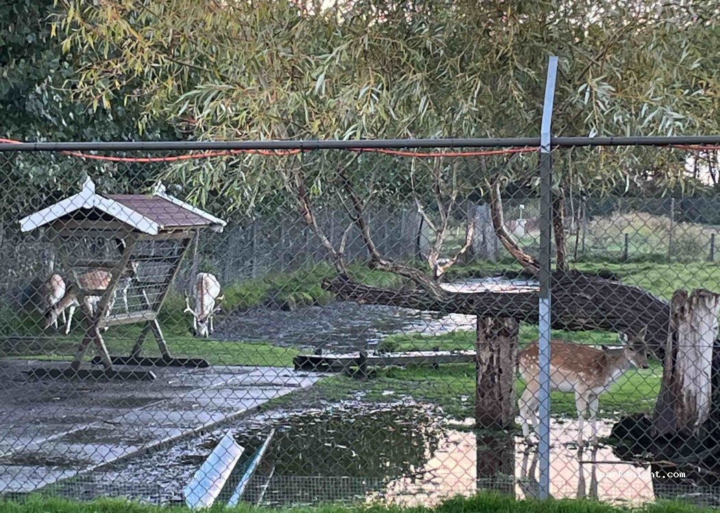 Midi Camping van der Burgh — foto 4