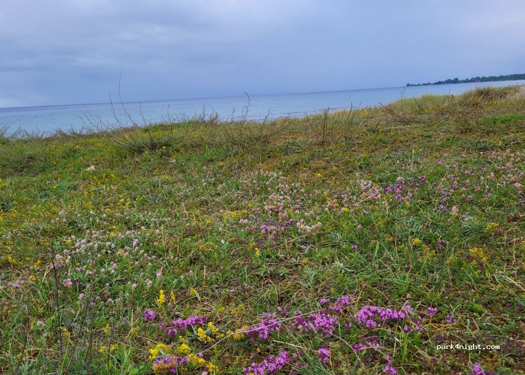 (274 53) Ystad - road 9 — foto 3