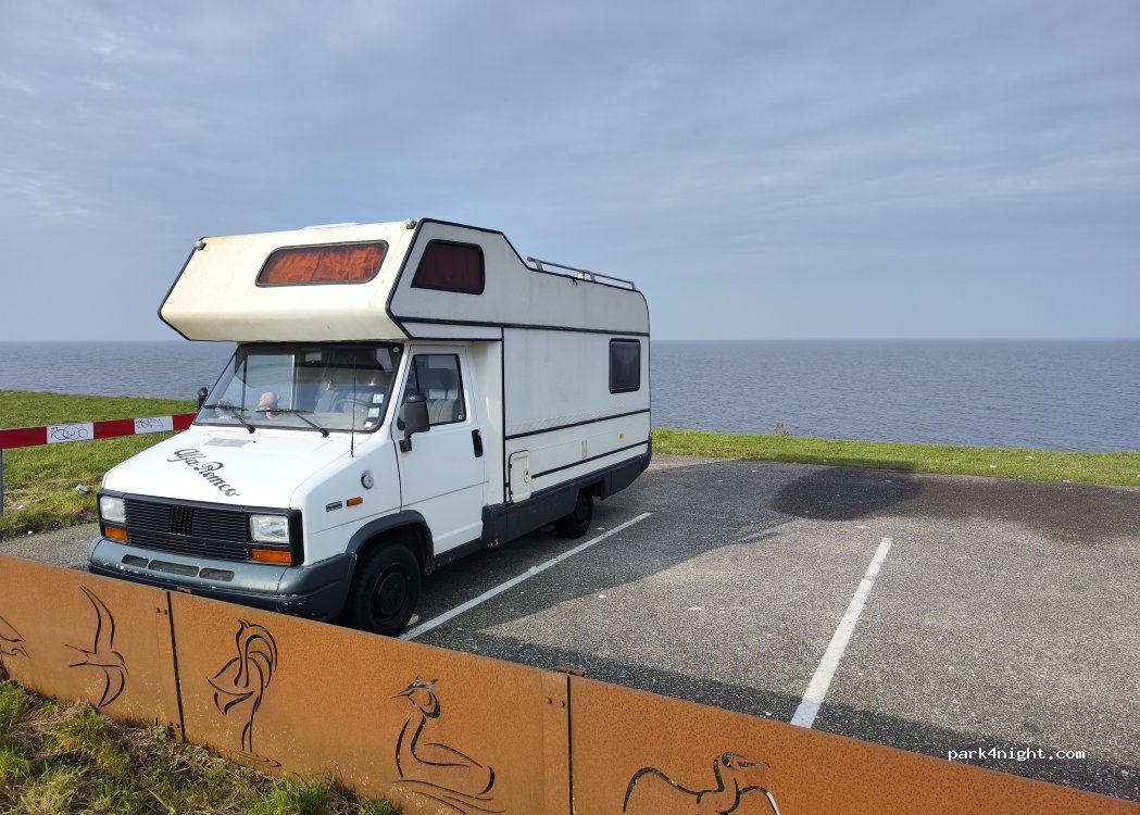 (8218) Lelystad - Oostvaardersdijk — foto 4