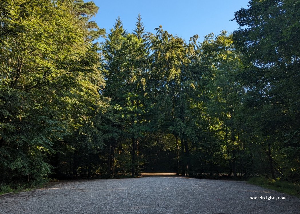 (82031) Grünwald - 43 Tölzer Straße — foto 4