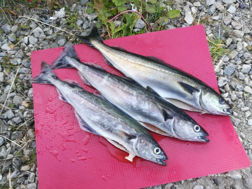 (9620) - Sekundær Fylkesveg 132 — foto 2