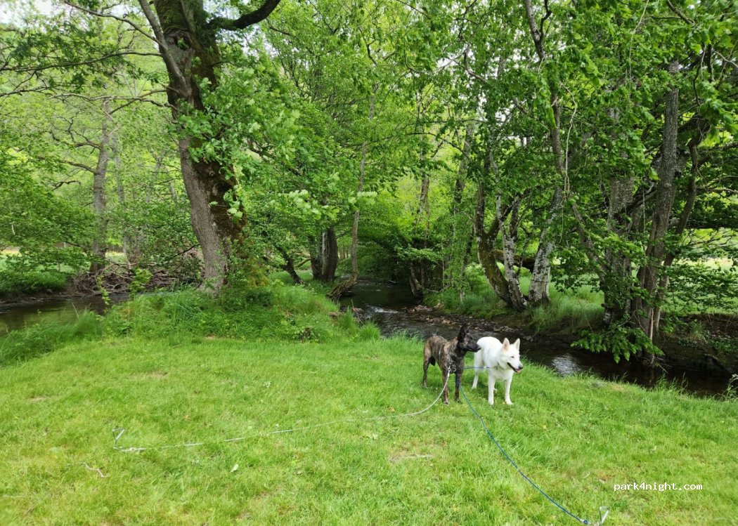 Camping Etang du Goulot — foto 4