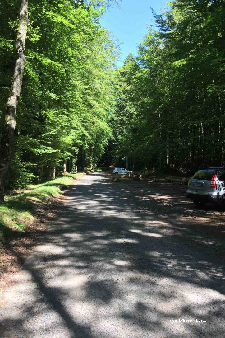 (54540) Badonviller - Unnamed Road — foto 2