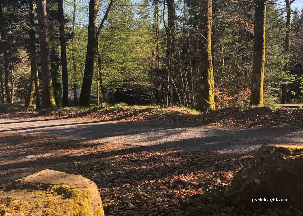 (54540) Badonviller - Unnamed Road — foto 3