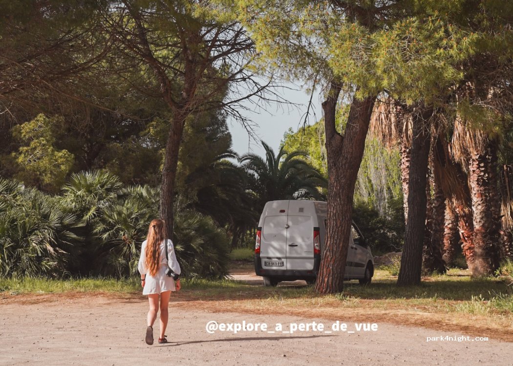 (07041) Alghero - Strada Provinciale 55 — foto 4