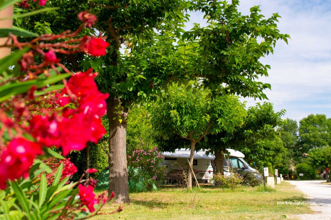 Camping La Roquette - Avignon — foto 5