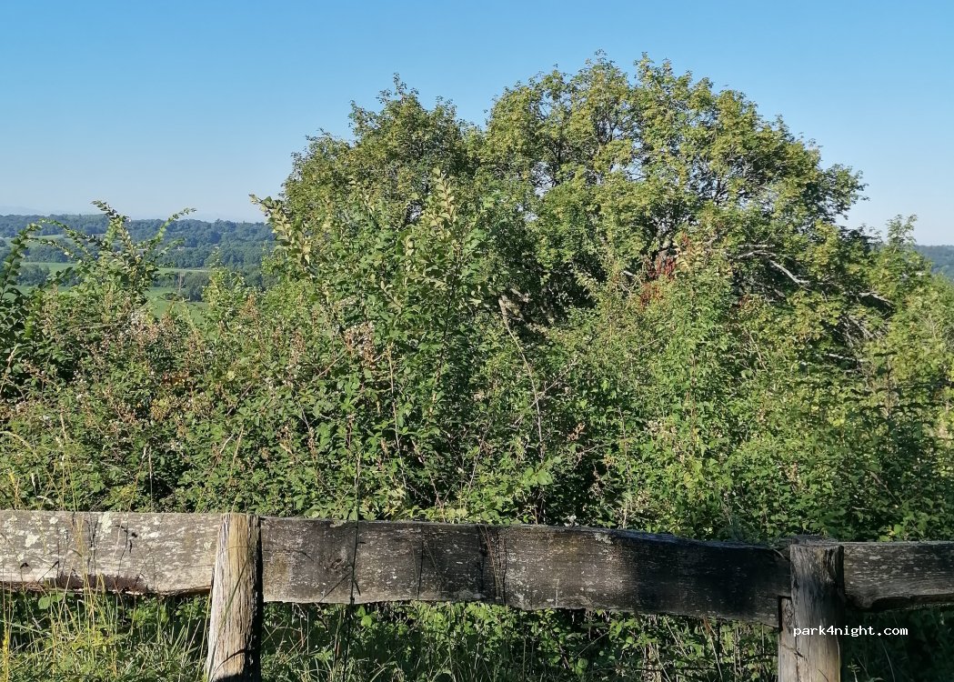 (40320) Pimbo - Unnamed Road — foto 2