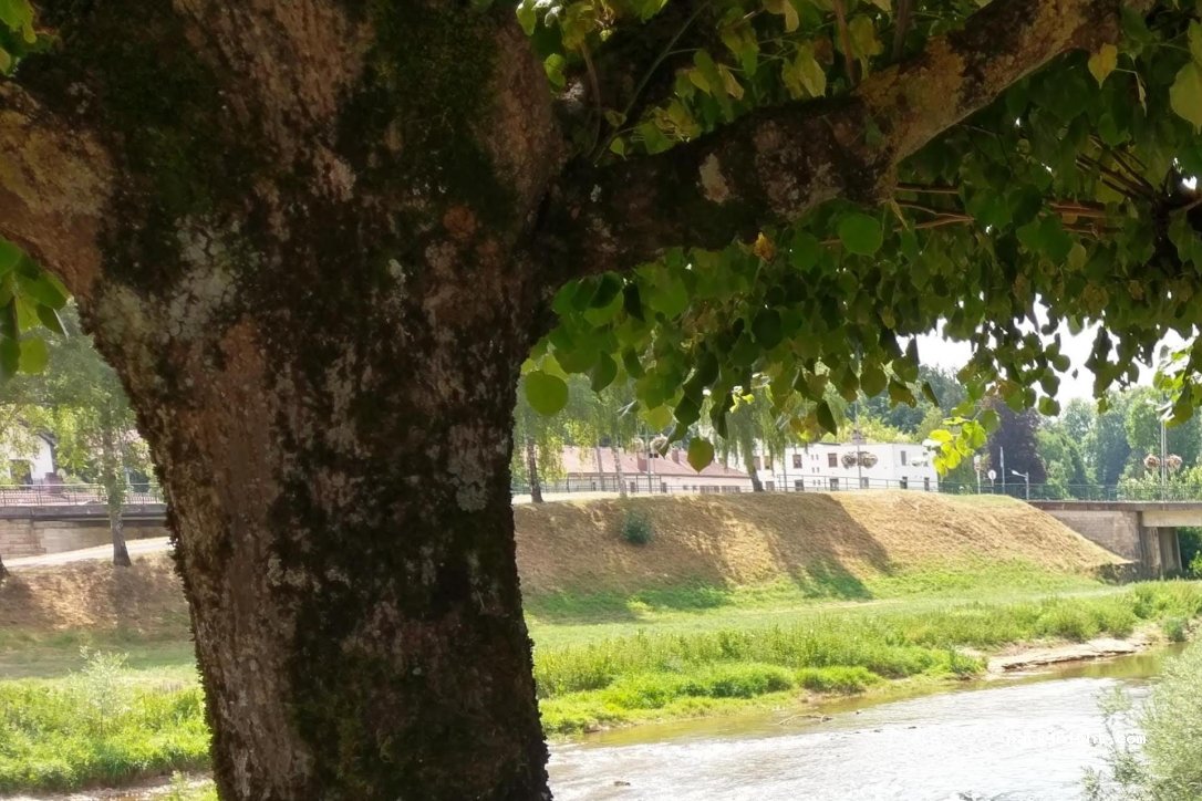 (52300) Joinville - 3 Chemin de sous Station — foto