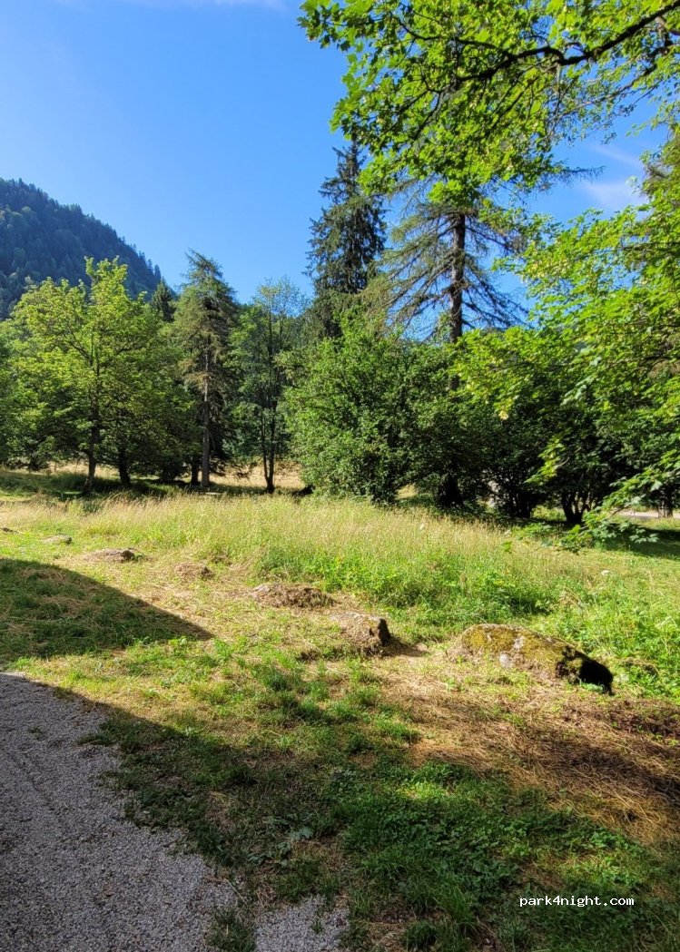 (38410) Vaulnaveys-le-Haut - Forêt de Premol — foto