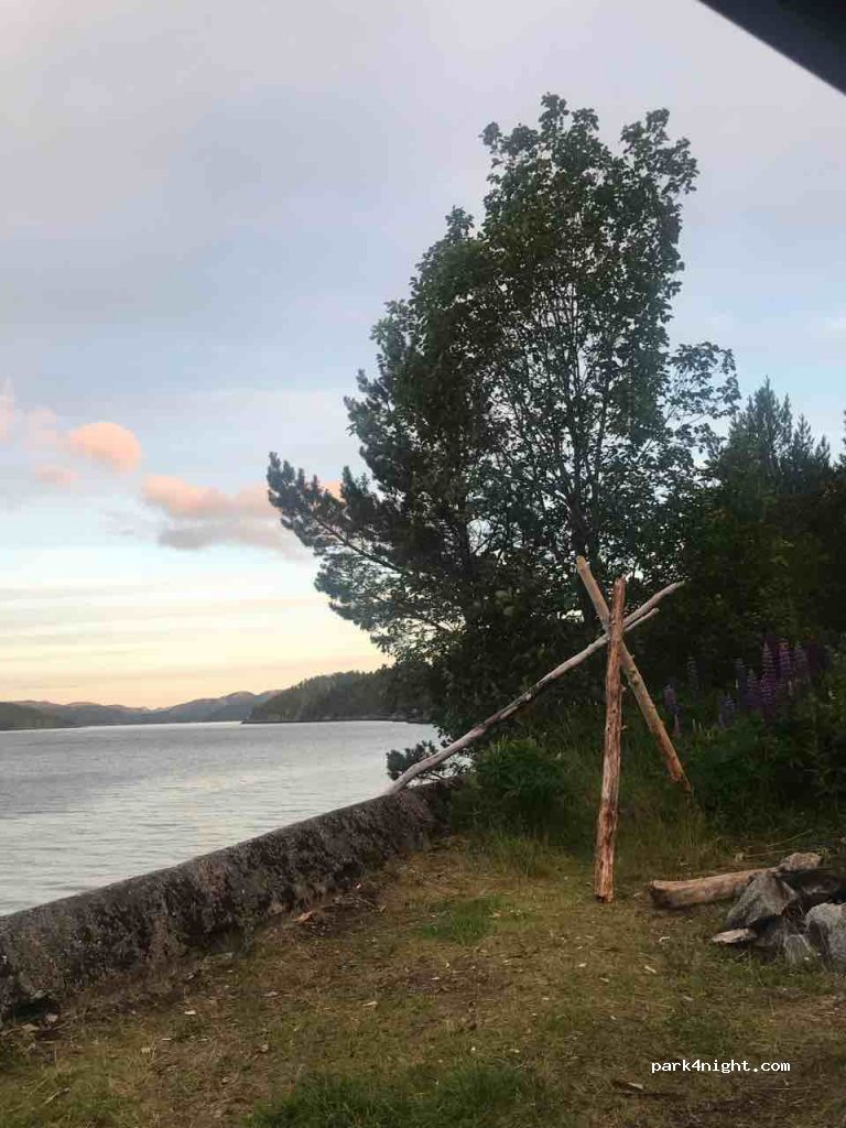 (7819)  - 3 Primær Fylkesveg 767 — foto