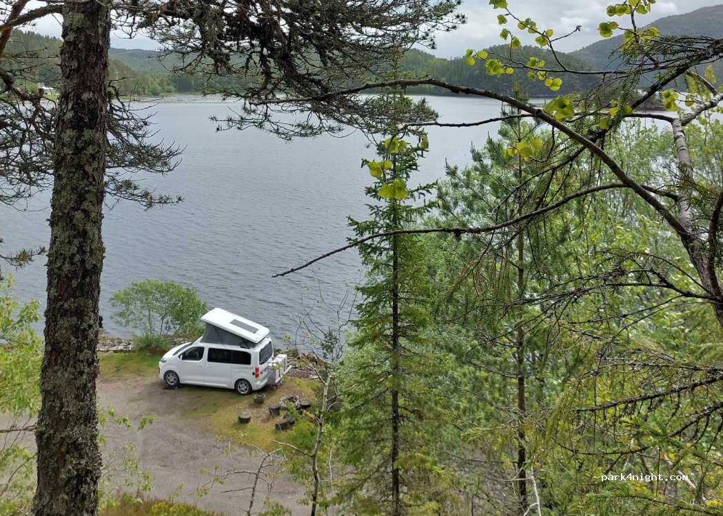 (7819) - 3 Primær Fylkesveg 767 — foto 2