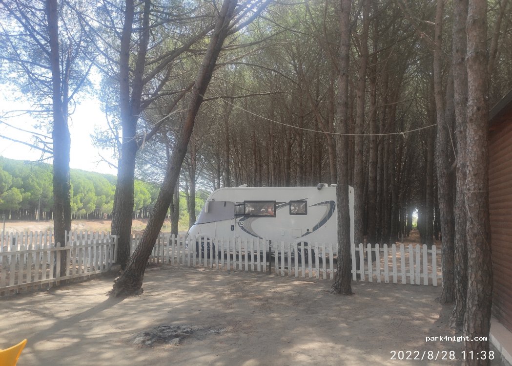 Camping Velipojë — foto 3