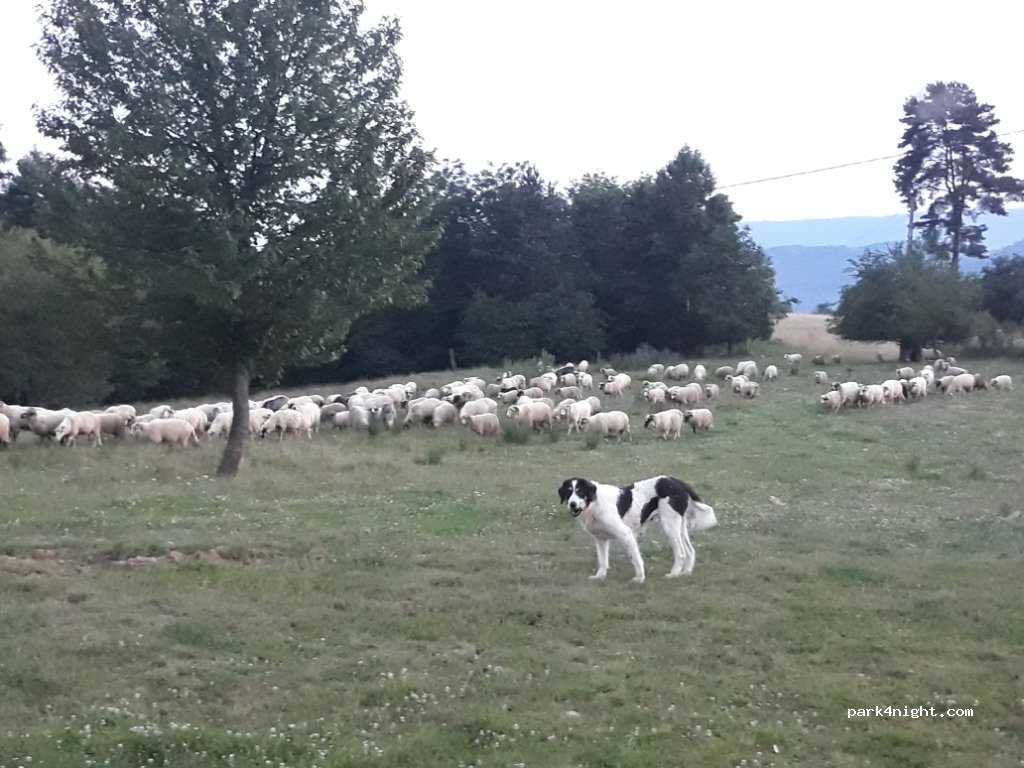 () Valea Cufundoasă - Strada Mocăniței — foto 2